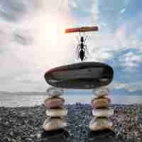 数‍据​分‌析﻿工‌具​库﻿中​的﻿工﻿具‍主​要‌有﻿